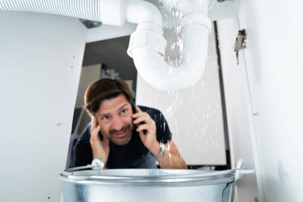 Best Emergency Plumber  in Demorest, GA